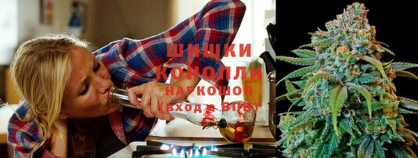 СК Алексин