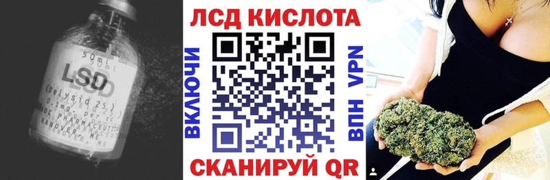 даркнет сайт  Волхов  ЛСД экстази кислота 