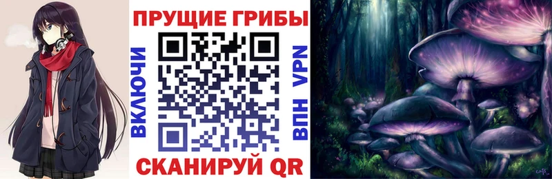 купить закладку  Волхов  Галлюциногенные грибы мухоморы 