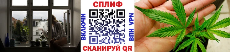 shop клад  Волхов  Бошки Шишки сатива  что такое   omg рабочий сайт 